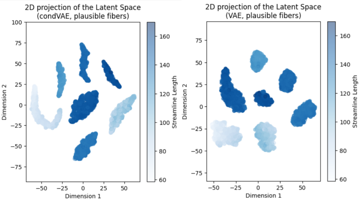 t-SNE projections of the latent space (only plausible fibers) of the conditional VAE and the vanilla VAE.